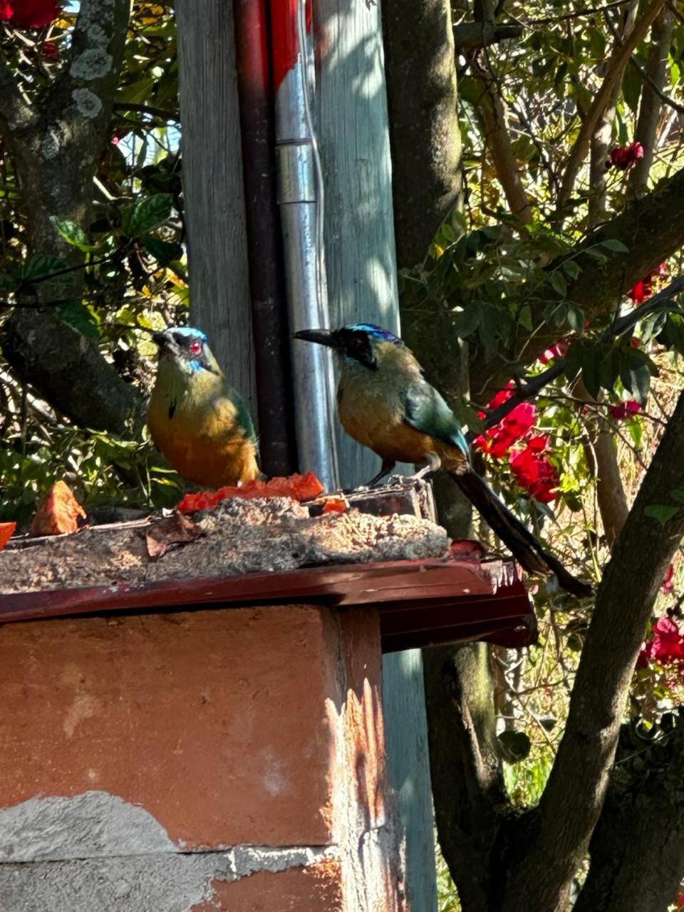 Hotel Campestre Abrazo Del Angel Aratoca Dış mekan fotoğraf